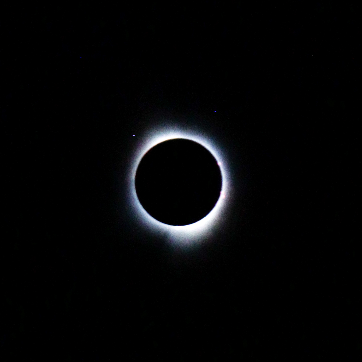 taken by me during the eclipse in April 2024